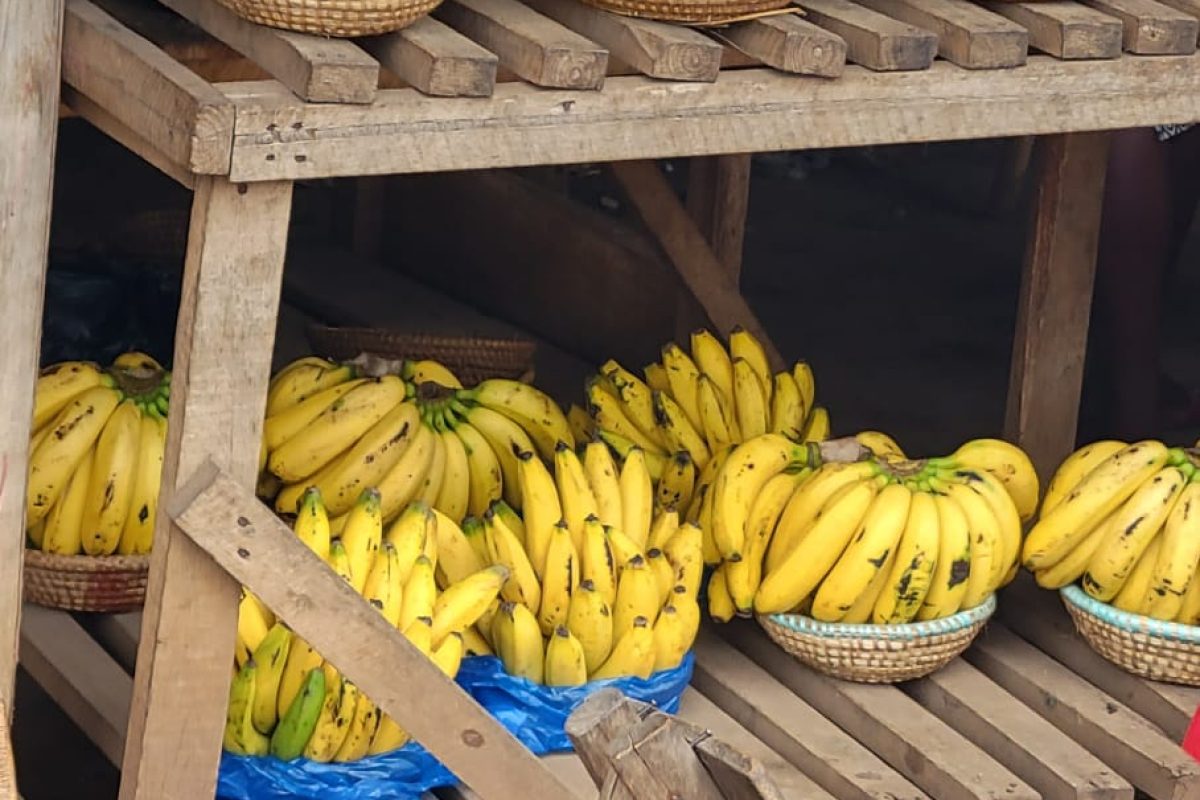 Bustling local market