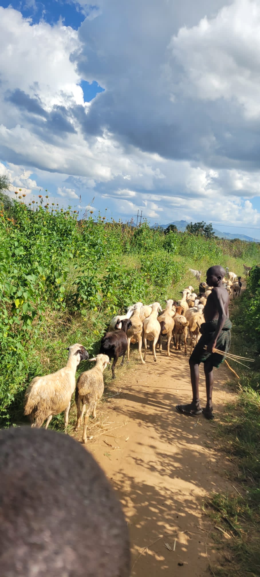 Women engaged in craft making