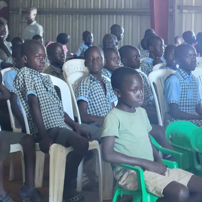 Bountiful harvest in a field